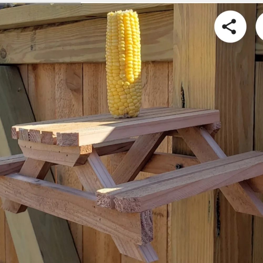 Bird and squirrel feeder